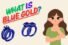 What is Blue Gold? How It Gets Its Blue Color + Making Process